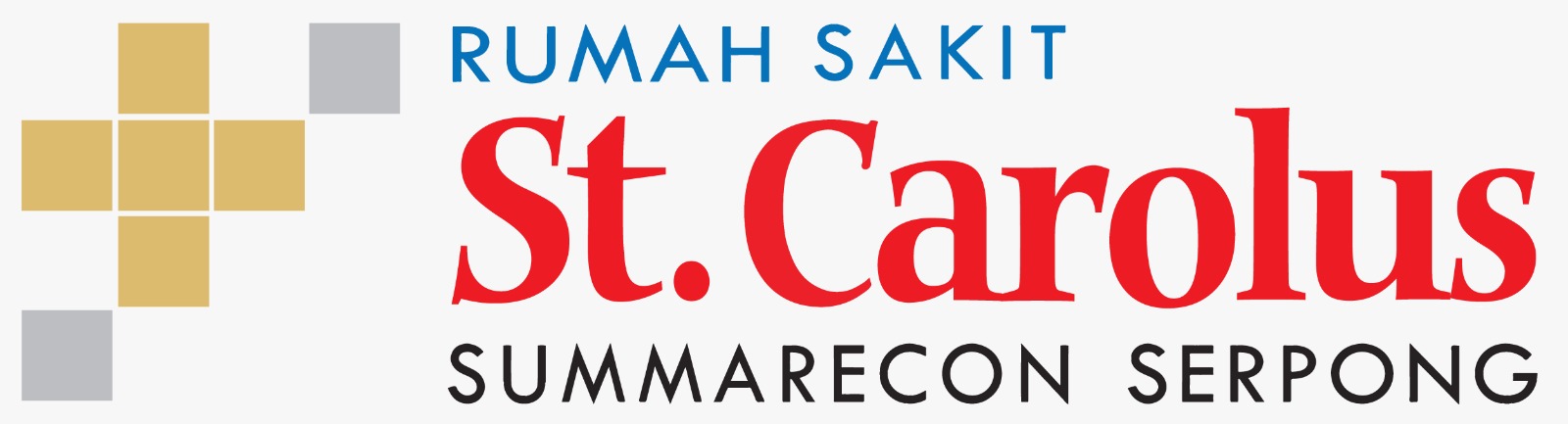 RS St. Carolus Summarecon Serpong