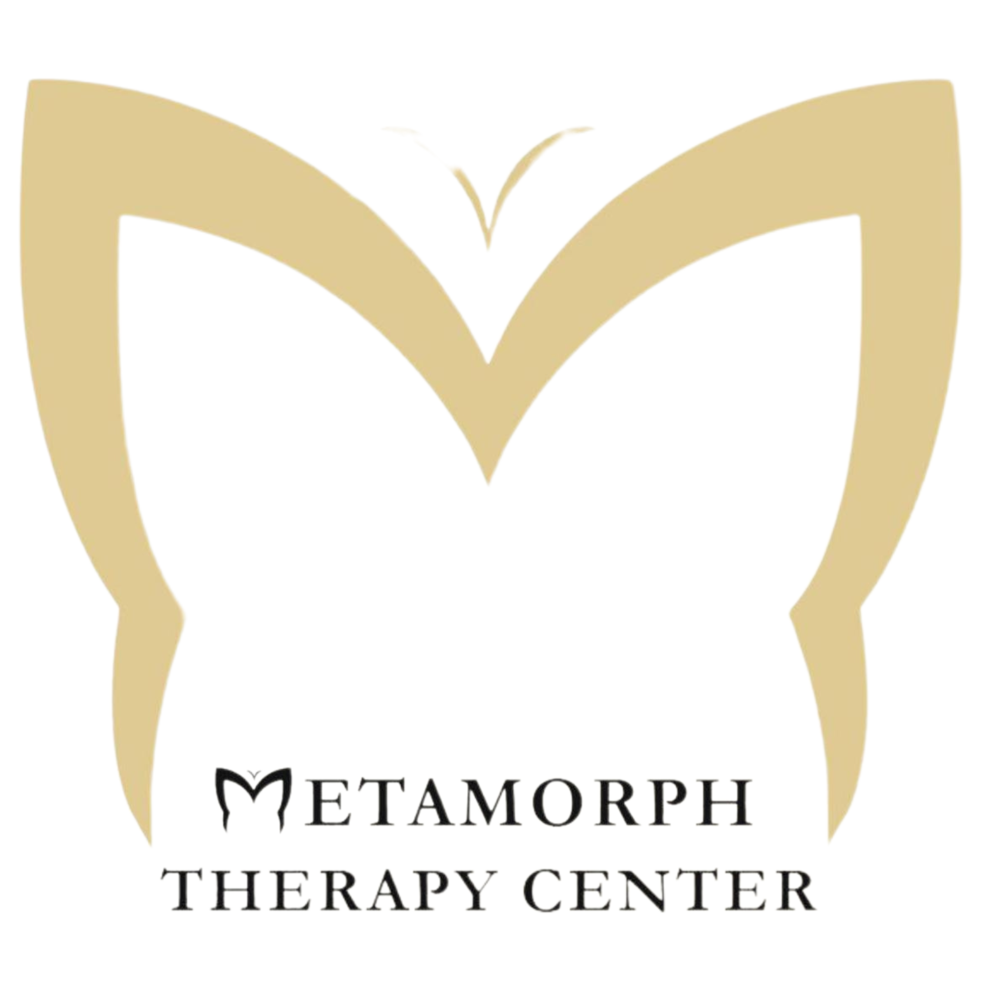 Clinic Metamorph