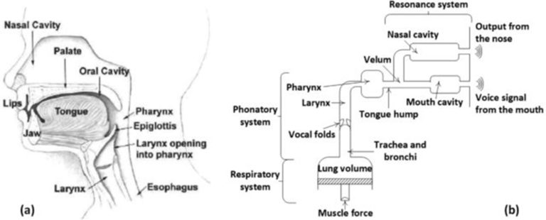 Siswa-Siswi BINUS SCHOOL Simprug Terlibat dalam Pembuatan Jurnal Ilmiah Internasional tentang COVID-19