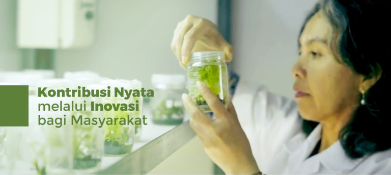 Kontribusi nyata melalui inovasi bagi Masyarakat