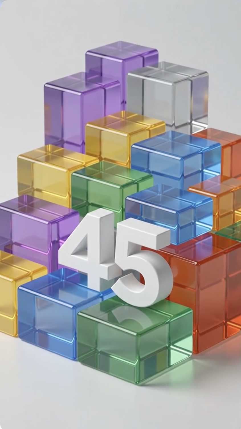 Logo Blocks Crystal BINUS45